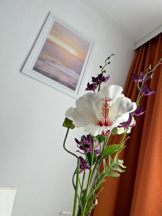 Apartment Harmony Graz Dış mekan fotoğraf
